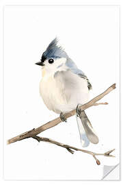 Självhäftande poster Watercolour Grey-crested Tit