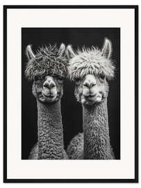Gerahmter Kunstdruck Alpaka Liebe für Immer