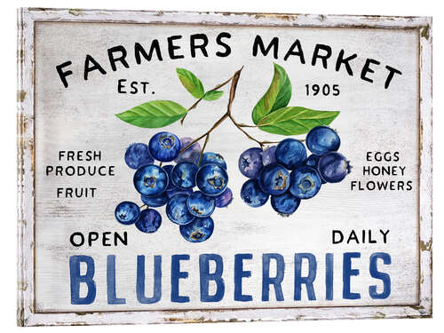 Acrylic print Farmer's Market Blueberries