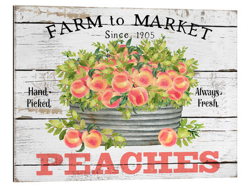 Stampa su plexi-alluminio Farm to Market Peaches