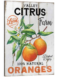 Magnettafel Retro Bauernmarkt-Orangen