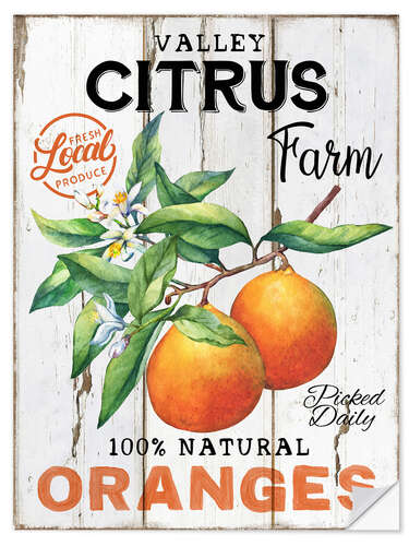 Adesivo murale Retro Farmer's Market Oranges