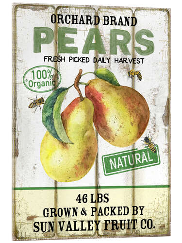 Obraz na szkle akrylowym Orchard Fresh Pears