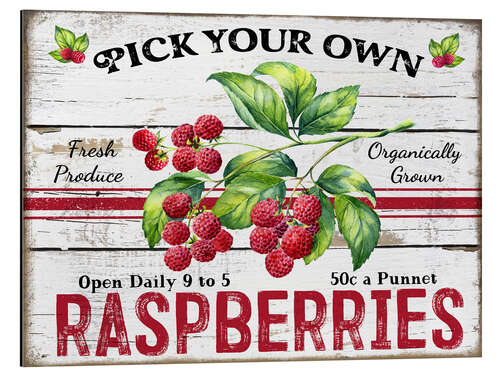 Aluminium print Pick Your Own Raspberries