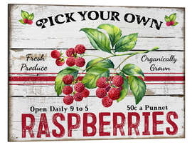 Cuadro de aluminio Pick Your Own Raspberries