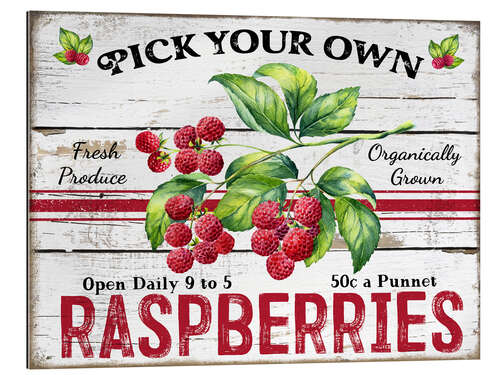 Stampa su plexi-alluminio Pick Your Own Raspberries