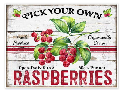 Poster Pick Your Own Raspberries