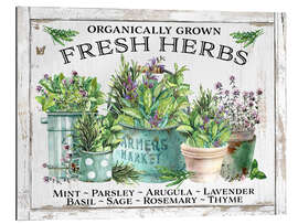 Galleriataulu Organic Fresh Herb Pots