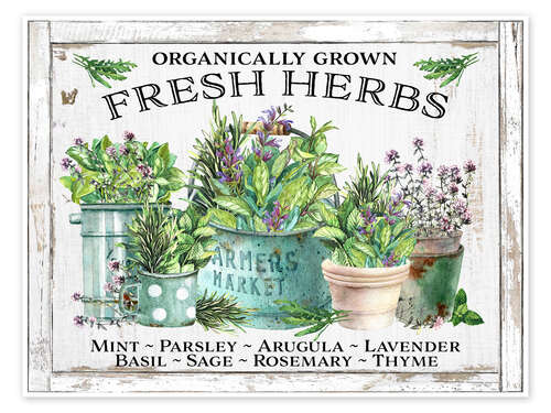 Poster Organic Fresh Herb Pots