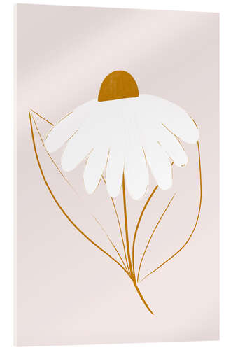 Cuadro de metacrilato White daisy
