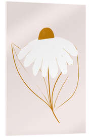 Cuadro de metacrilato White daisy