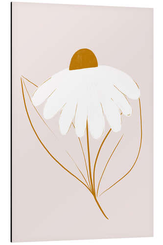 Aluminium print White daisy