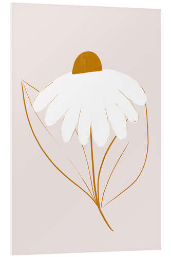 Foam board print White daisy