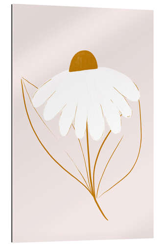 Galleriprint White daisy