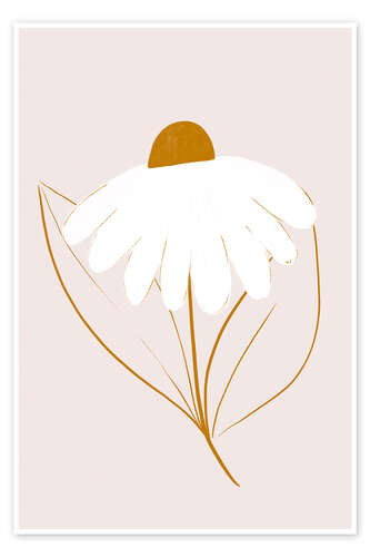 Poster White daisy