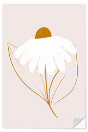 Selvklæbende plakat White daisy