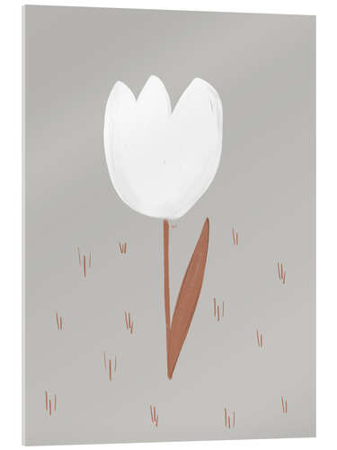 Acrylic print White Tulip