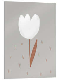 Gallery print White Tulip