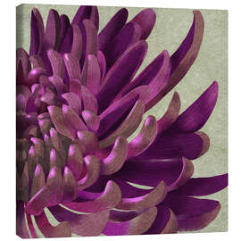 Stampa su tela Chrysanthemum Purple