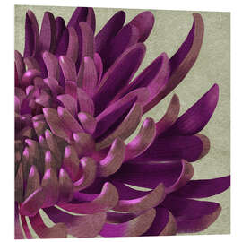 Hartschaumbild Lila Chrysantheme