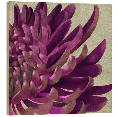 Holzbild Lila Chrysantheme
