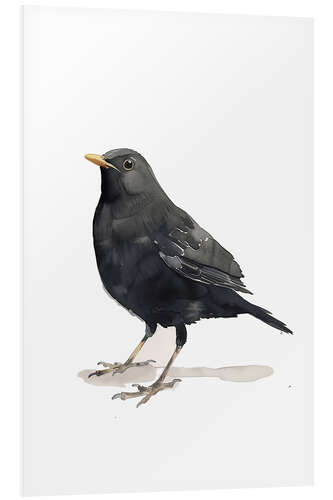 PVC-tavla Watercolour Blackbird