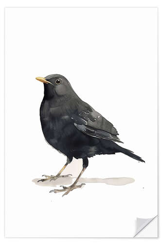 Wandsticker Aquarell Amsel