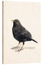 Trätavla Watercolour Blackbird - Christian Müringer