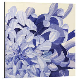 Cuadro de aluminio Chrysanthemum