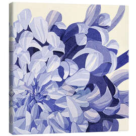 Leinwandbild Chrysanthemum