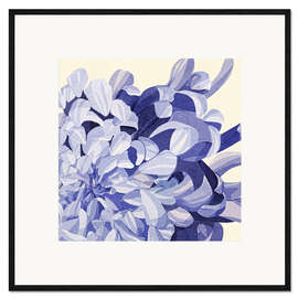 Gerahmter Kunstdruck Chrysanthemum