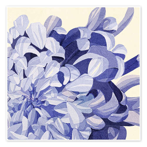Poster Chrysanthemum