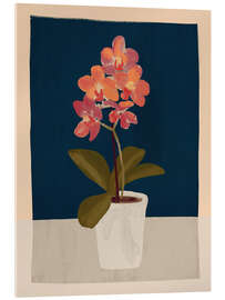 Acrylglasbild Orchidee