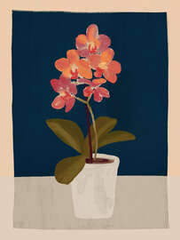 Magnettafel Orchidee