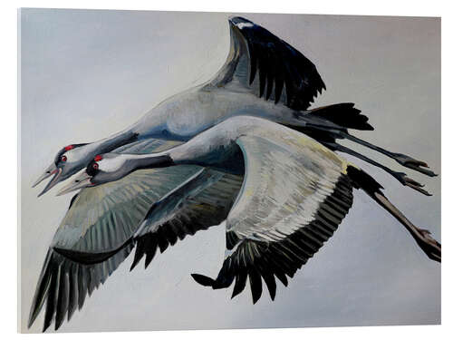 Acrylic print Cranes alone together