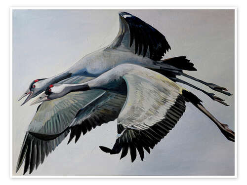 Poster Cranes alone together