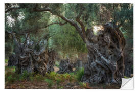 Autocolante decorativo Mallorca's old olive trees - Martin Podt