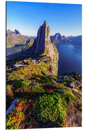 Obraz na aluminium Summit of Segla, Senja Island, Norway - Achim Thomae