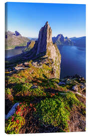 Tableau sur toile Summit of Segla, Senja Island, Norway - Achim Thomae