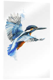 Cuadro de metacrilato Watercolor kingfisher in flight
