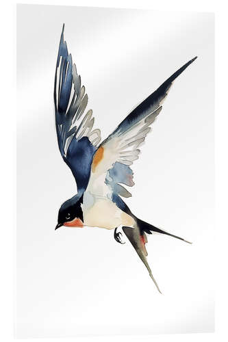 Acrylglas print Watercolor swallow in flight