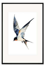 Gerahmter Kunstdruck Aquarell Schwalbe im Flug - Christian Müringer