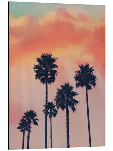 Stampa su alluminio Summer sky