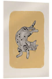 Quadro em acrílico Grey Cat