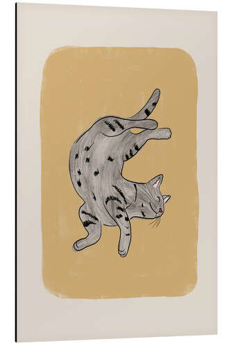 Alubild Graue Katze