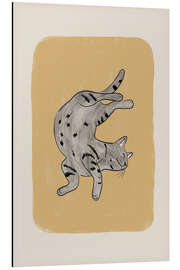 Alubild Graue Katze