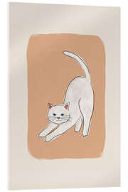 Acrylglasbild Weiße Katze