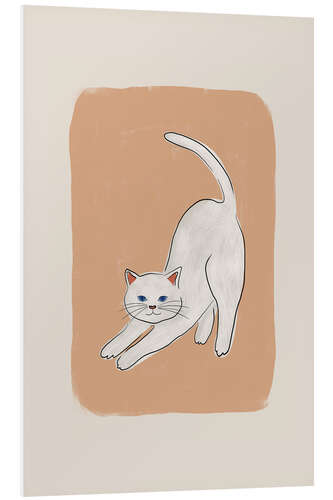 Bilde på skumplate White Cat