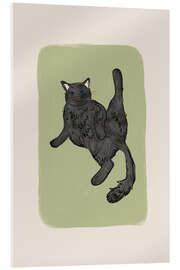 Stampa su vetro acrilico Black Cat