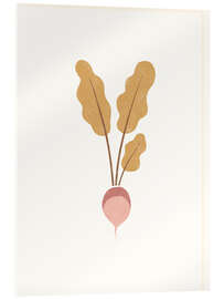 Acrylic print Root vegetable - Turnip - Marta Munte